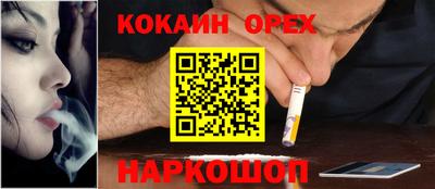сатива Лесосибирск