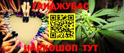 сатива Лесосибирск