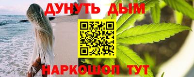 сатива Лесосибирск
