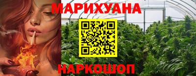 сатива Лесосибирск