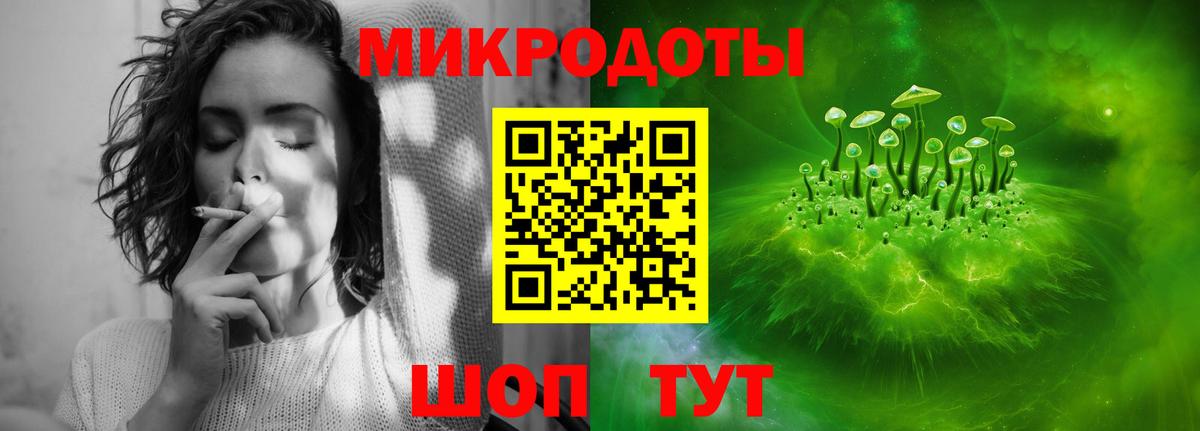 Псилоцибиновые грибы Psilocybe Дмитров