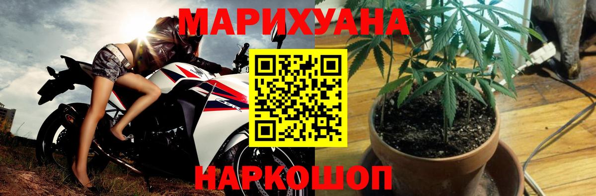 Бошки Шишки сатива Дмитров